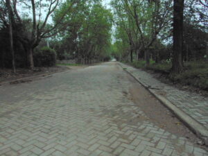 Camino Rural en Córdoba